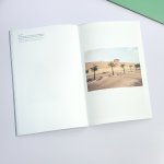 Endless Summer - Christi Wijnen, image